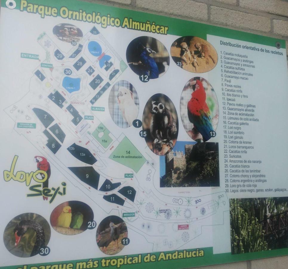 Bella Andalucia Διαμέρισμα Almuñécar Εξωτερικό φωτογραφία